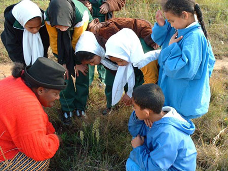 Est-ce une bonne « initiative APAC »?