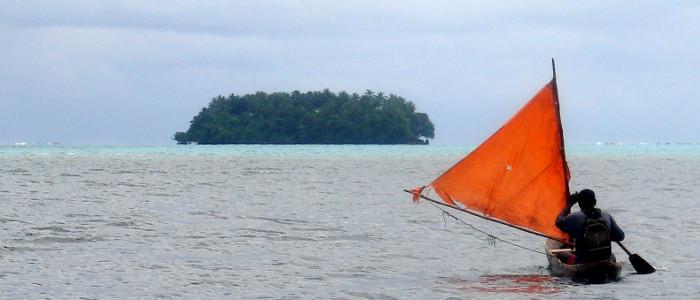 Newsflash #2 – Juillet 2017