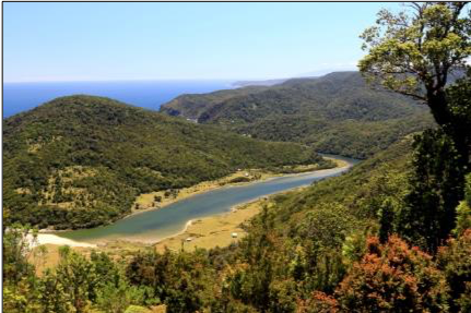 À la rencontre des APAC du continent américain