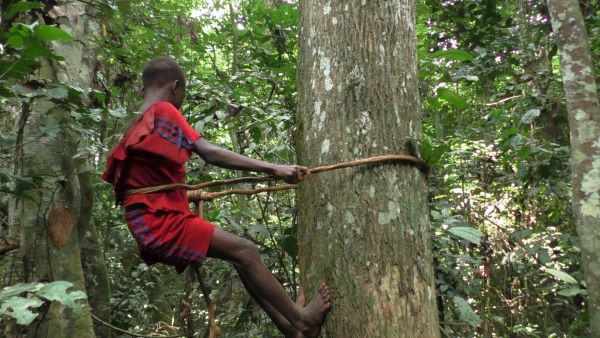 Ndima-Kali, le Mouvement des Jeunes BaAka et Sangha-Sangha pour Valoriser leurs Cultures et Lutter Contre les Discriminations
