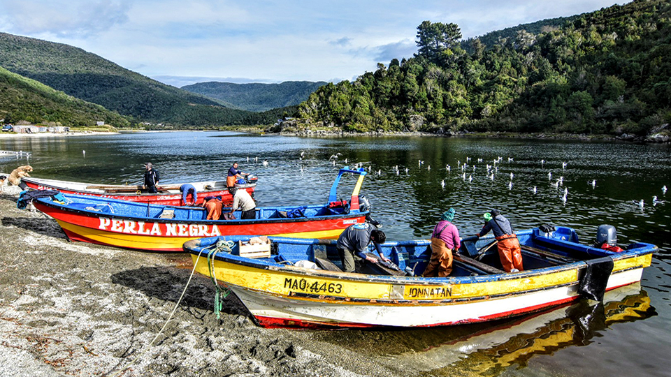 San Pedro Fishing Boat