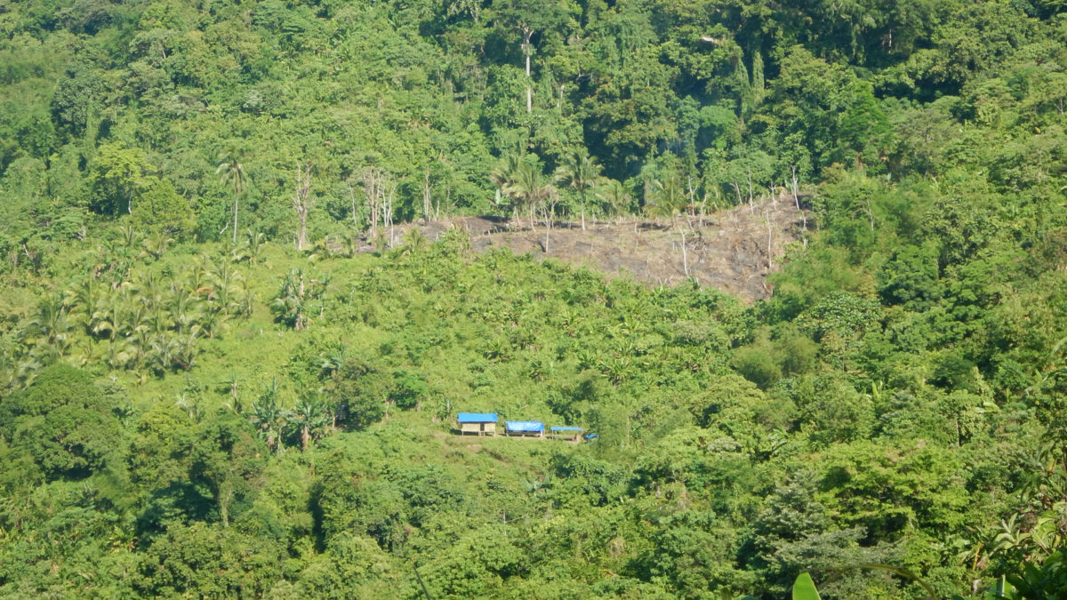 Keyegangan: At the Forefront of Changing Indigenous Food Culture