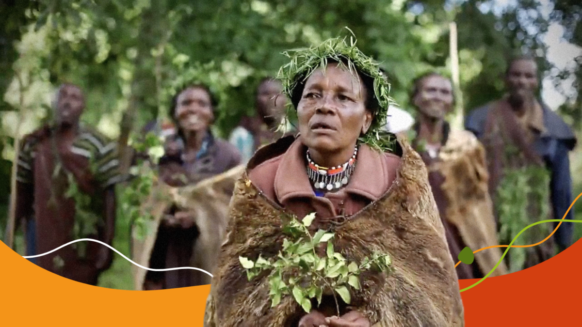 Respect and protect the environmental human rights defenders in Africa