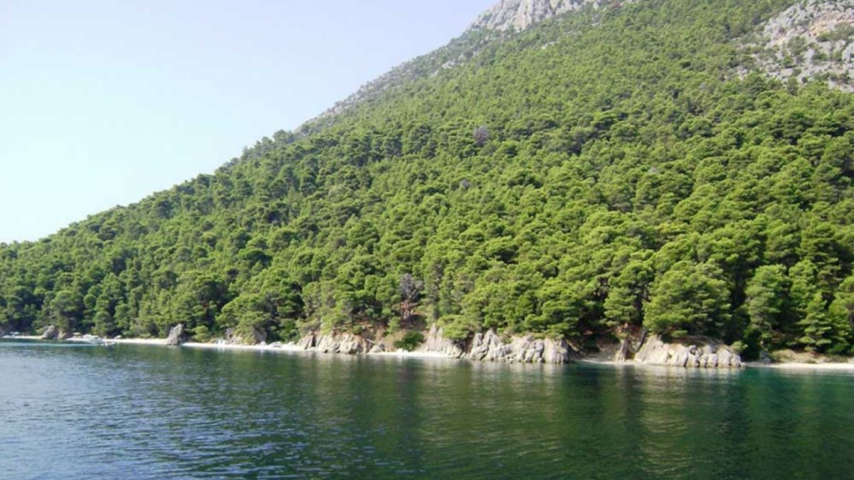 Appel à la solidarité avec les communautés traditionnelles des îles Kalamos-Kastos dans la lutte contre la conservation coloniale