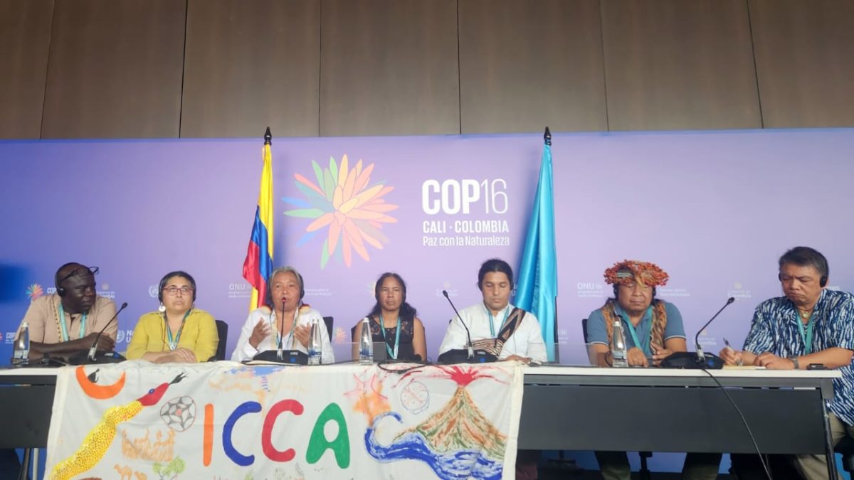 ICCA Consortium Statement at COP16: Protecting biodiversity and territories of life
