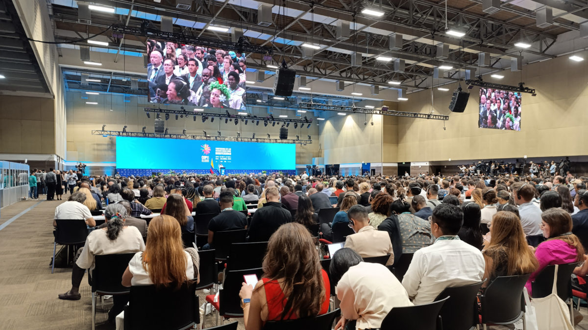 Cadre mondial pour la biodiversité : les ressources seront-elles un jour mobilisées pour atteindre les objectifs de 2030 ?