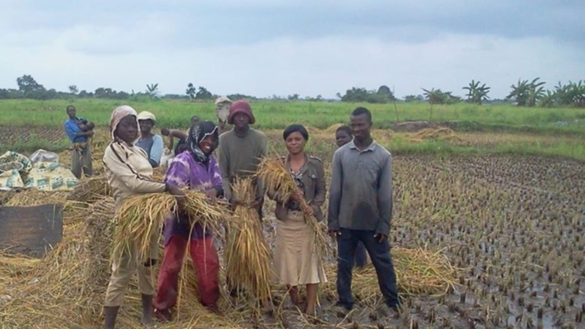 Un mensaje del presidente del Consejo del Consorcio TICCA