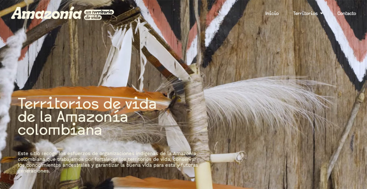 Presentamos el sitio web Amazonía, un territorio de vida