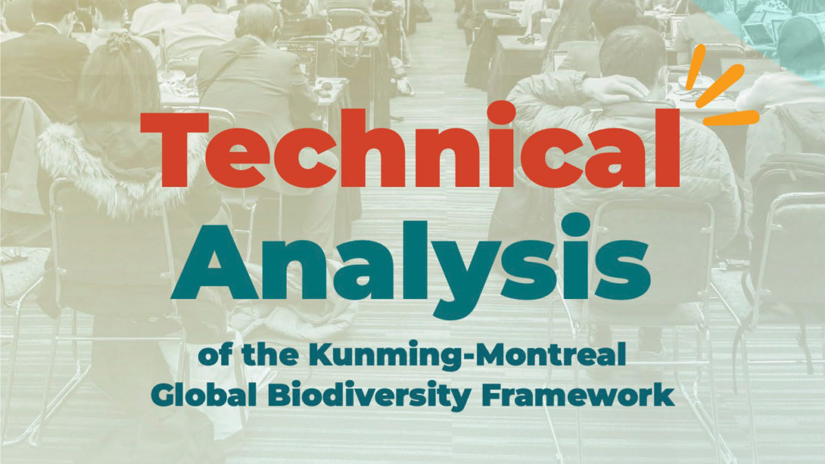 Technical Analysis of the Global Biodiversity Framework