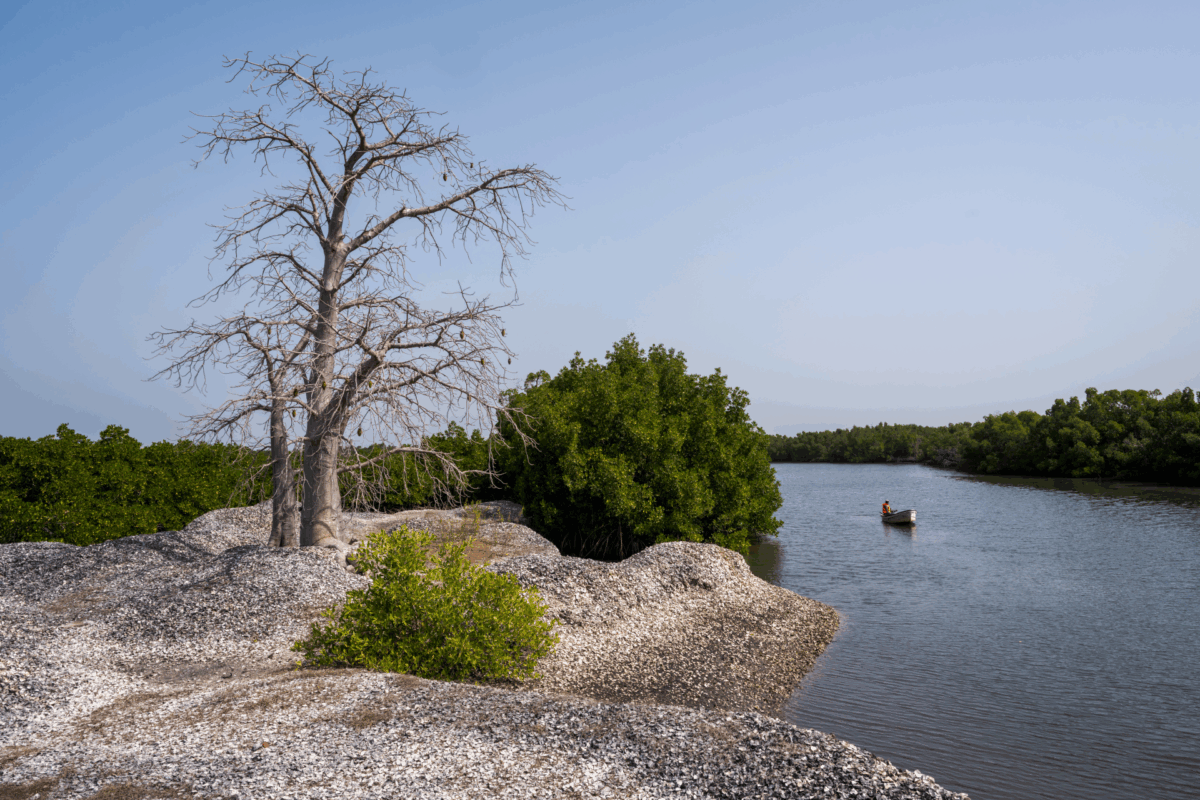 La gouvernance des ressources naturelles et le rôle des APAC – territoires de vie au Sénégal