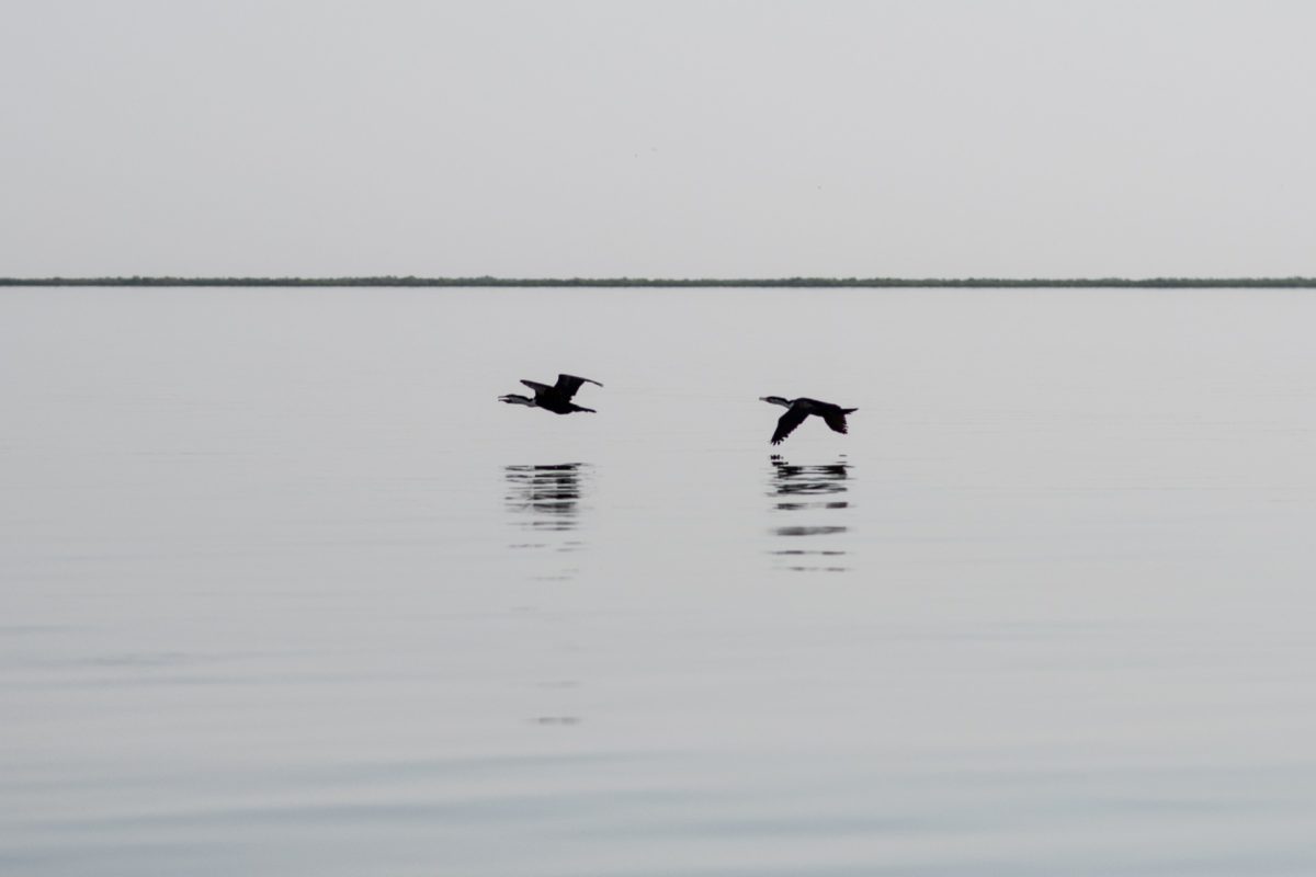 Les APAC pour assurer l&rsquo;avenir des pêcheries, des ressources halieutiques et des communautés au Sénégal