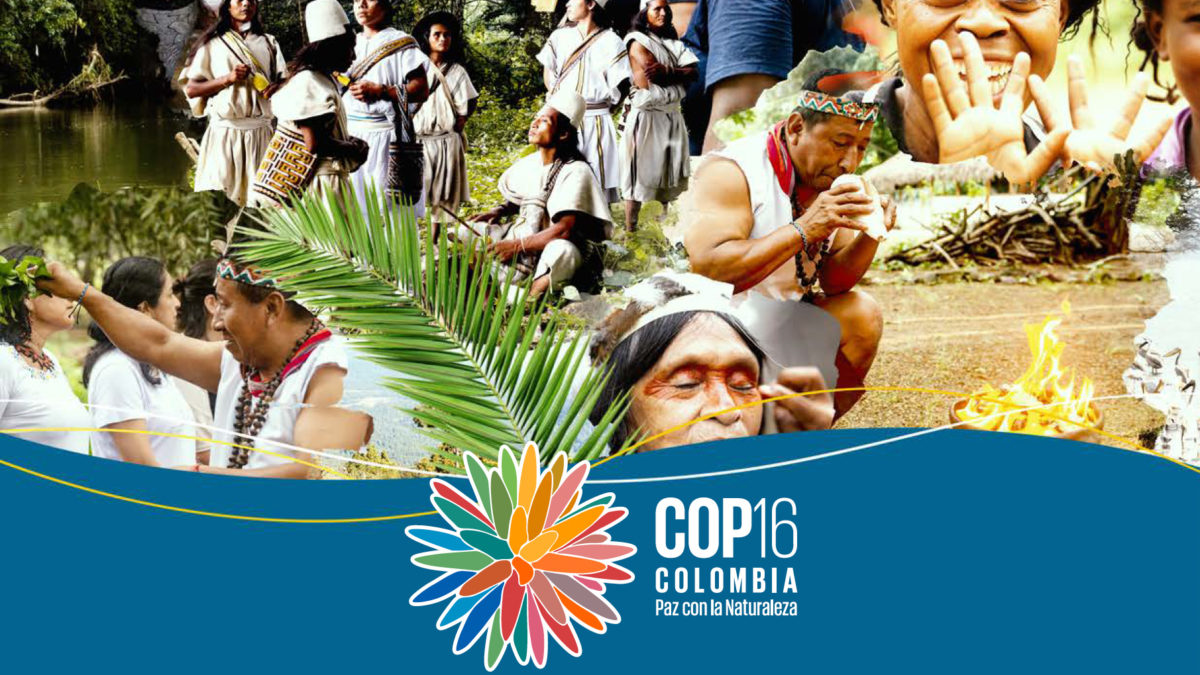 CBD COP16 and Resumed Session: context and reflections from participants