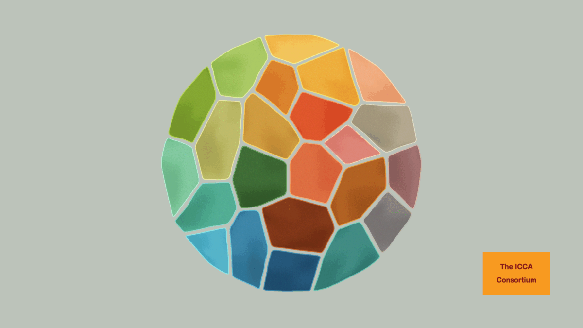 Statement for CBD SB8j‑1: Territories of life at the heart of the Convention on Biological Diversity