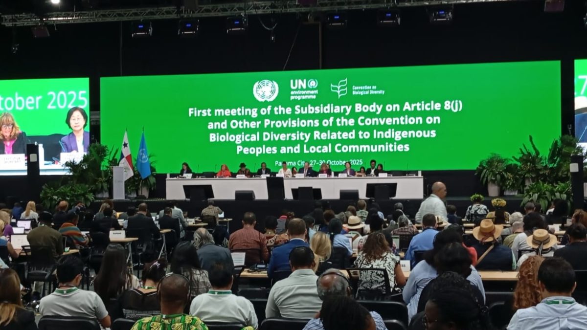 Peuples Autochtones et Communautés Locales à la CDB SB8j-1