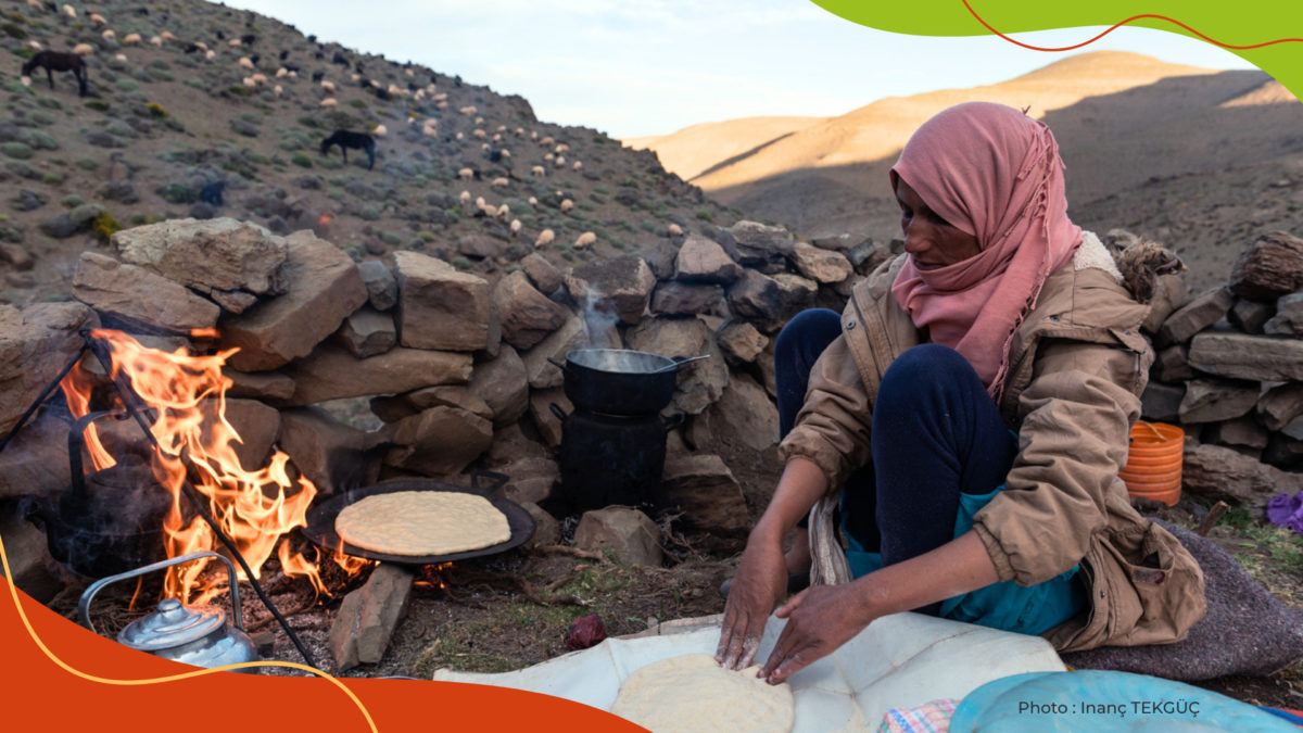 Appel à témoignages sur les territoires de vie pastoraux auprès de la communauté du Consortium APAC