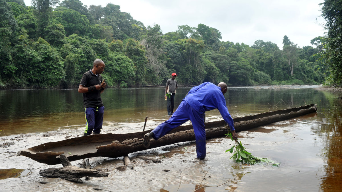 Etoubili et boalôo : une cartographie bioculturelle communautaire qui révèle l’occupation historique et permet la défense des forêts tropicales africaines  